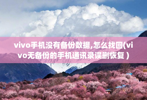 vivo手机没有备份数据,怎么找回(vivo无备份的手机通讯录误删恢复 )