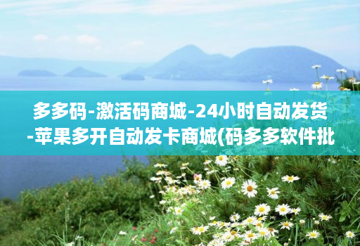 多多码-激活码商城-24小时自动发货-苹果多开自动发卡商城(码多多软件批发商城 )