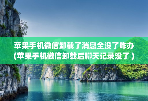 苹果手机微信卸载了消息全没了咋办(苹果手机微信卸载后聊天记录没了 ) 苹果手机微信卸载了消息全没了咋办(苹果手机微信卸载后聊天记录没了 )