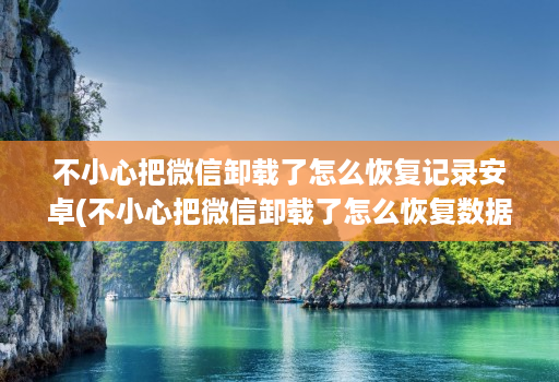 不小心把微信卸载了怎么恢复记录安卓(不小心把微信卸载了怎么恢复数据 )