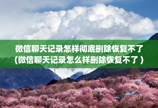 微信聊天记录怎样彻底删除恢复不了(微信聊天记录怎么样删除恢复不了 )