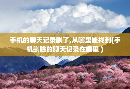 手机的聊天记录删了,从哪里能找到(手机删除的聊天记录在哪里 )