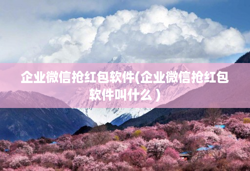 企业微信抢红包软件(企业微信抢红包软件叫什么 )