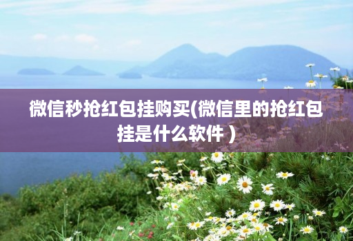 微信秒抢红包挂购买(微信里的抢红包挂是什么软件 )