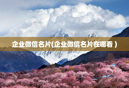 企业微信名片(企业微信名片在哪看 )