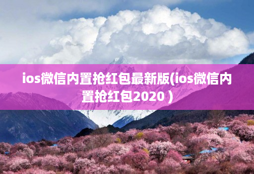 ios微信内置抢红包最新版(ios微信内置抢红包2020 )