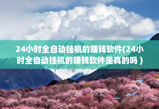 24小时全自动挂机的赚钱软件(24小时全自动挂机的赚钱软件是真的吗 )