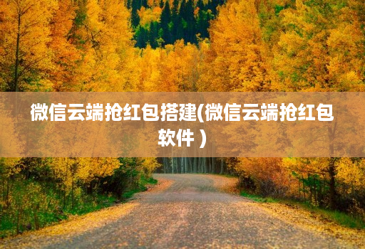 微信云端抢红包搭建(微信云端抢红包软件 )