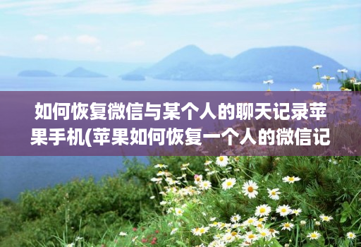 如何恢复微信与某个人的聊天记录苹果手机(苹果如何恢复一个人的微信记录 )