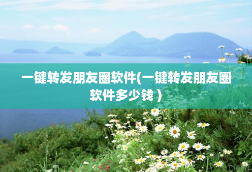 一键转发朋友圈软件(一键转发朋友圈软件多少钱 )