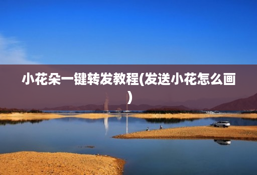 小花朵一键转发教程(发送小花怎么画 )