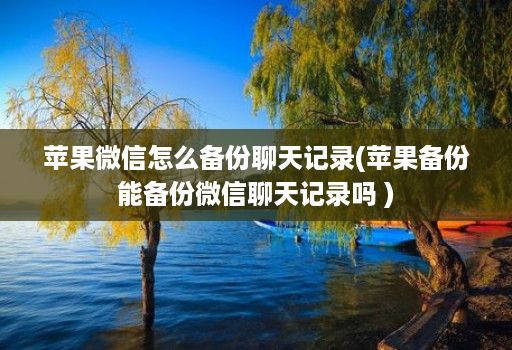 苹果微信怎么备份聊天记录(苹果备份能备份微信聊天记录吗 )