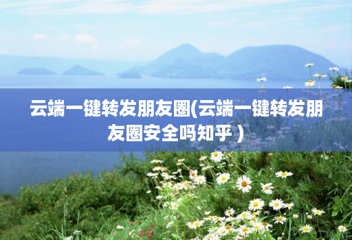 云端一键转发朋友圈(云端一键转发朋友圈安全吗知乎 )