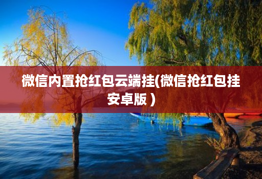 微信内置抢红包云端挂(微信抢红包挂安卓版 )