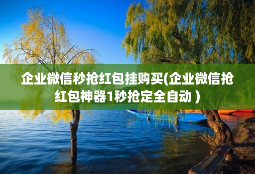 企业微信秒抢红包挂购买(企业微信抢红包神器1秒抢定全自动 )