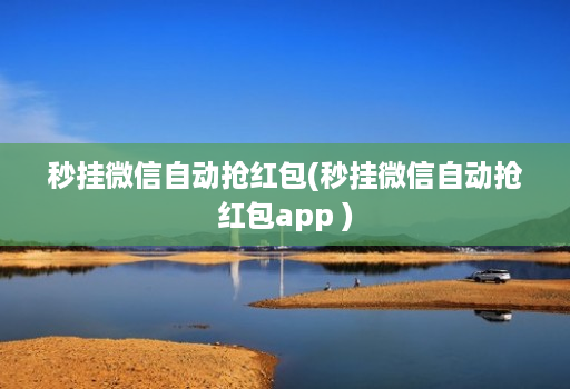 秒挂微信自动抢红包(秒挂微信自动抢红包app )