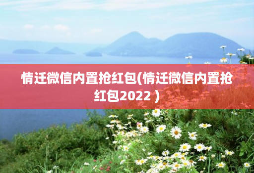 情迁微信内置抢红包(情迁微信内置抢红包2022 )