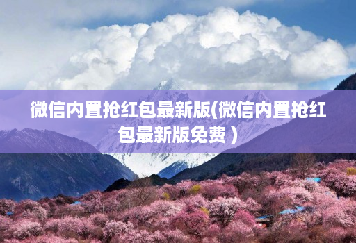 微信内置抢红包最新版(微信内置抢红包最新版免费 )