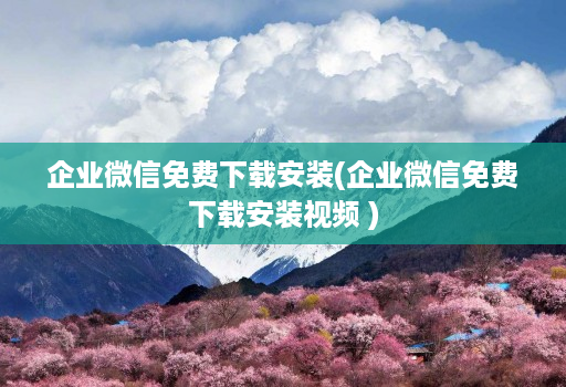 企业微信免费下载安装(企业微信免费下载安装视频 )