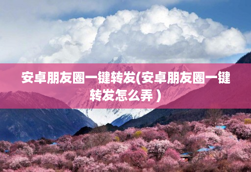 安卓朋友圈一键转发(安卓朋友圈一键转发怎么弄 )