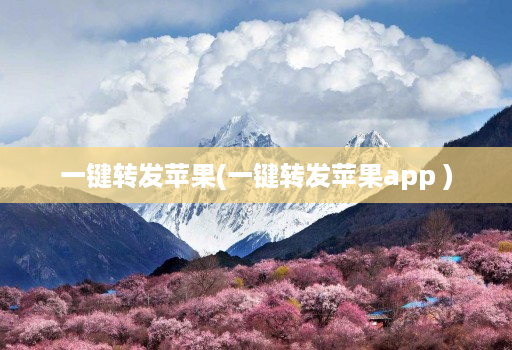 一键转发苹果(一键转发苹果app )