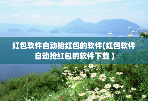 红包软件自动抢红包的软件(红包软件自动抢红包的软件下载 )