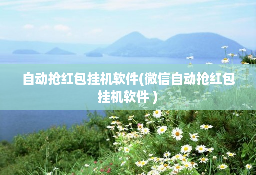 自动抢红包挂机软件(微信自动抢红包挂机软件 )
