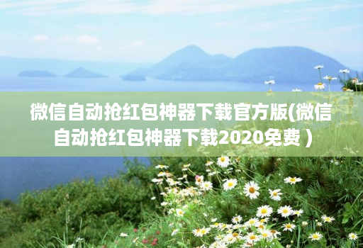 微信自动抢红包神器下载官方版(微信自动抢红包神器下载2020免费 )