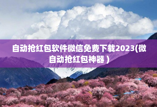 自动抢红包软件微信免费下载2023(微自动抢红包神器 )