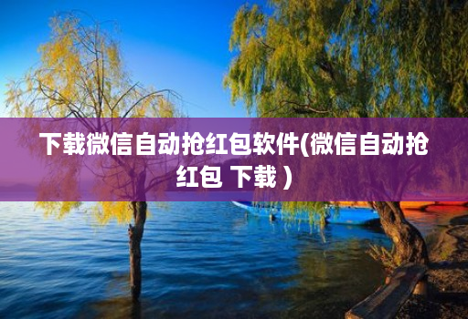 下载微信自动抢红包软件(微信自动抢红包 下载 )