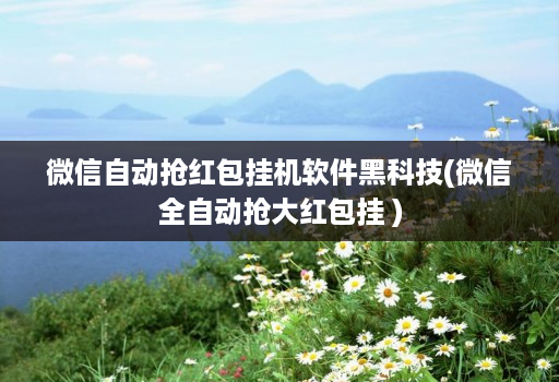 微信自动抢红包挂机软件黑科技(微信全自动抢大红包挂 )