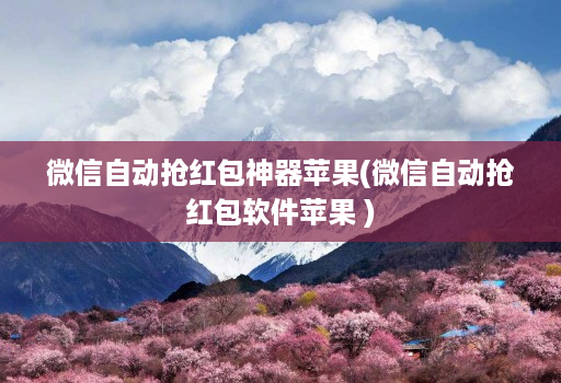 微信自动抢红包神器苹果(微信自动抢红包软件苹果 )