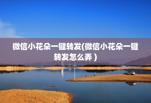 微信小花朵一键转发(微信小花朵一键转发怎么弄 ) 微信小花朵一键转发(微信小花朵一键转发怎么弄 )