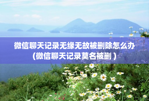 微信聊天记录无缘无故被删除怎么办(微信聊天记录莫名被删 )