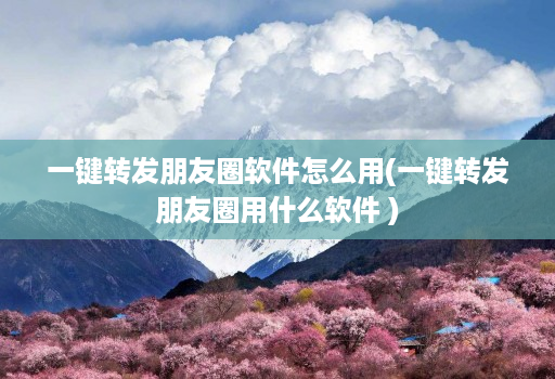一键转发朋友圈软件怎么用(一键转发朋友圈用什么软件 )