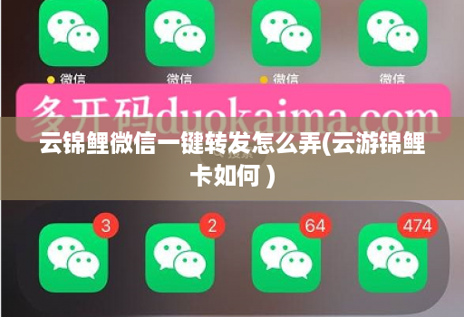 云锦鲤微信一键转发怎么弄(云游锦鲤卡如何 )