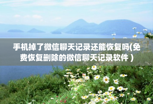 手机掉了微信聊天记录还能恢复吗(免费恢复删除的微信聊天记录软件 )