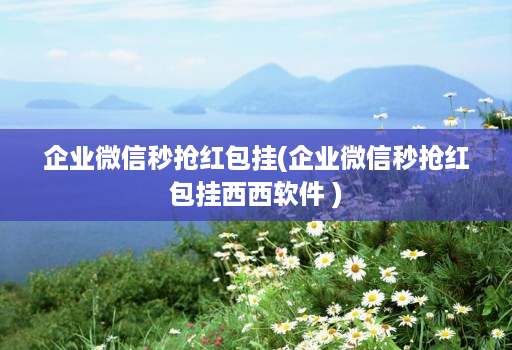 企业微信秒抢红包挂(企业微信秒抢红包挂西西软件 )