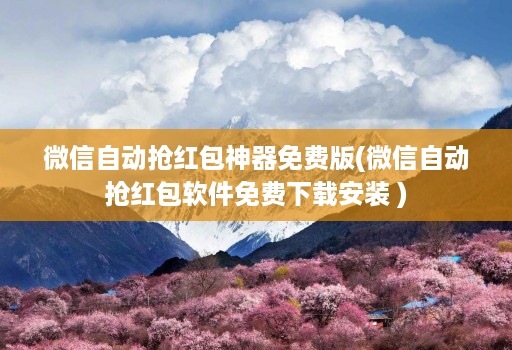微信自动抢红包神器免费版(微信自动抢红包软件免费下载安装 )