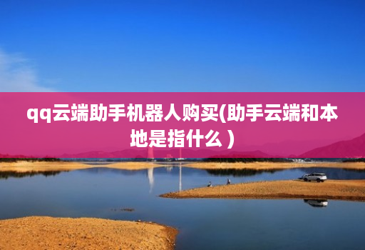 qq云端助手机器人购买(助手云端和本地是指什么 )