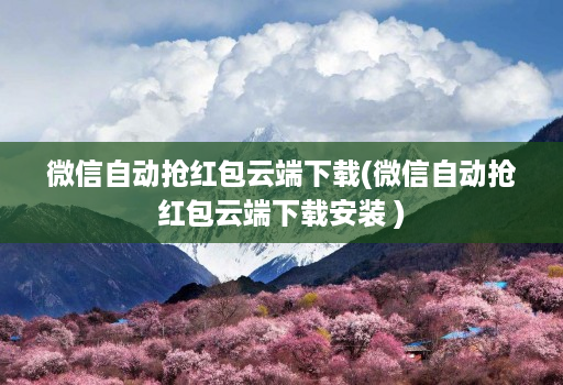微信自动抢红包云端下载(微信自动抢红包云端下载安装 )