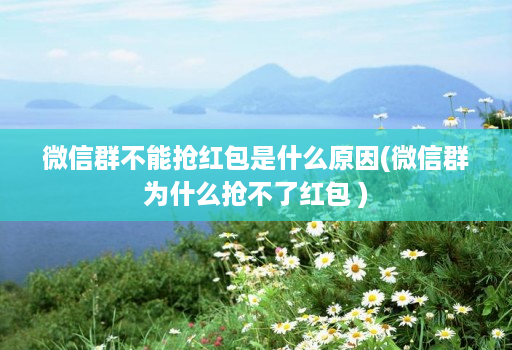 微信群不能抢红包是什么原因(微信群为什么抢不了红包 )