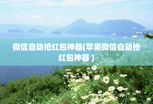 微信自动抢红包神器(苹果微信自动抢红包神器 )