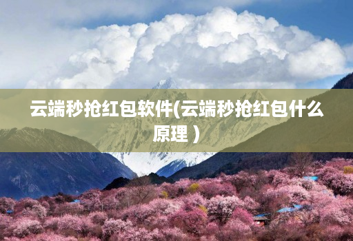 云端秒抢红包软件(云端秒抢红包什么原理 )