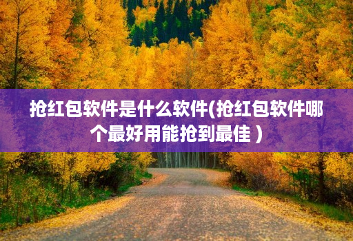 抢红包软件是什么软件(抢红包软件哪个最好用能抢到最佳 )