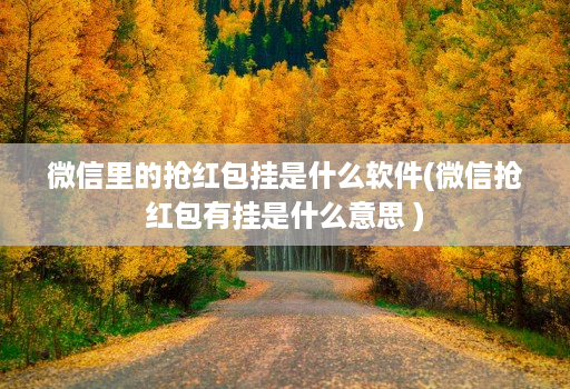 微信里的抢红包挂是什么软件(微信抢红包有挂是什么意思 )