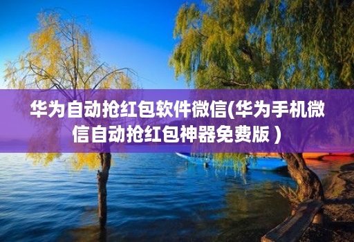 华为自动抢红包软件微信(华为手机微信自动抢红包神器免费版 )