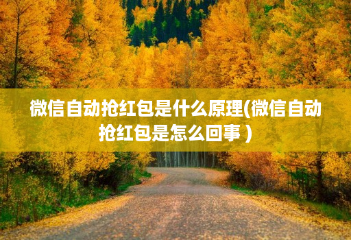 微信自动抢红包是什么原理(微信自动抢红包是怎么回事 )