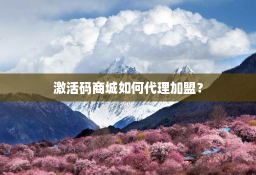 激活码商城如何代理加盟?