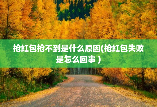 抢红包抢不到是什么原因(抢红包失败是怎么回事 )